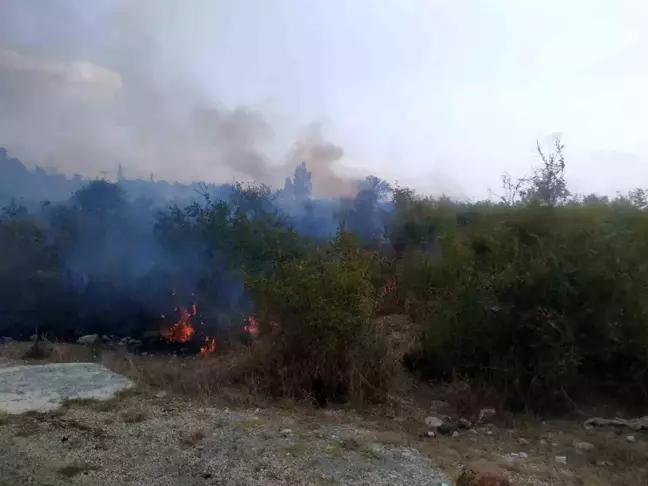 Osmaniye'de çıkan yangın kontrol altına alındı