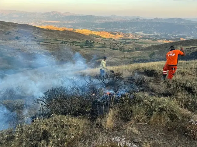 Bingöl'de 6 bölgede çıkan orman ve örtü yangınları söndürüldü