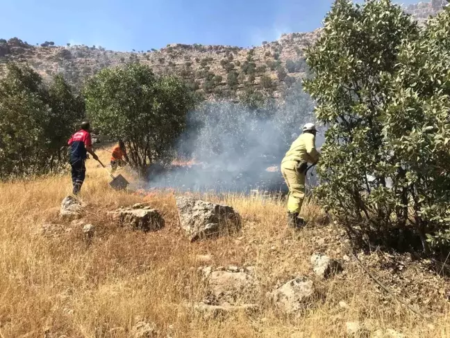 Mardin'de ormanlık alanda çıkan yangın kontrol altına alındı