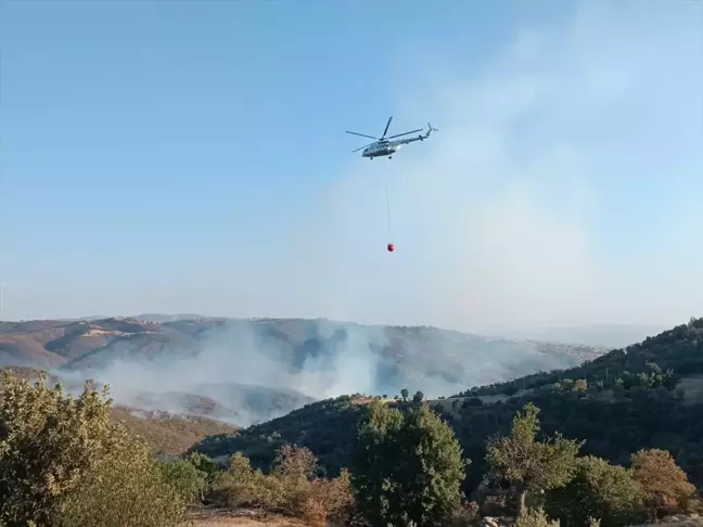 Uşak'ın Eşme ilçesinde meşelik alanlarda çıkan yangınlara müdahale ediliyor