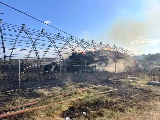 Tekirdağ'da Koyun Ağılında Yangın Çıktı