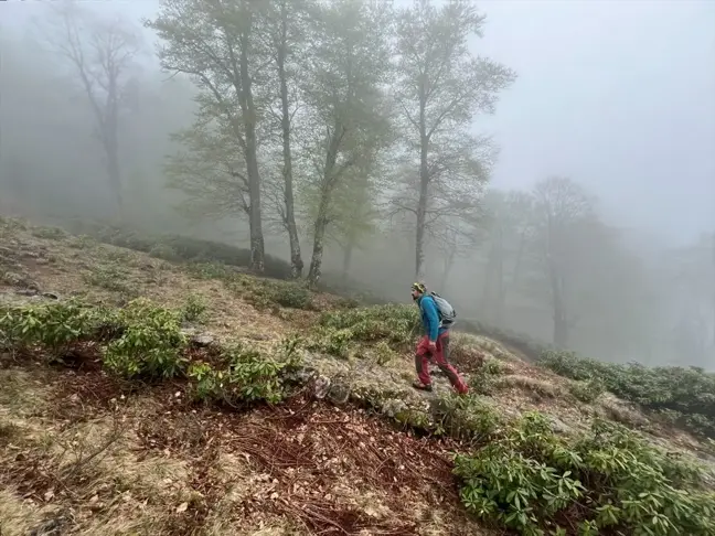 Giresun'da Otçu Göçü Geleneği Canlandırılıyor