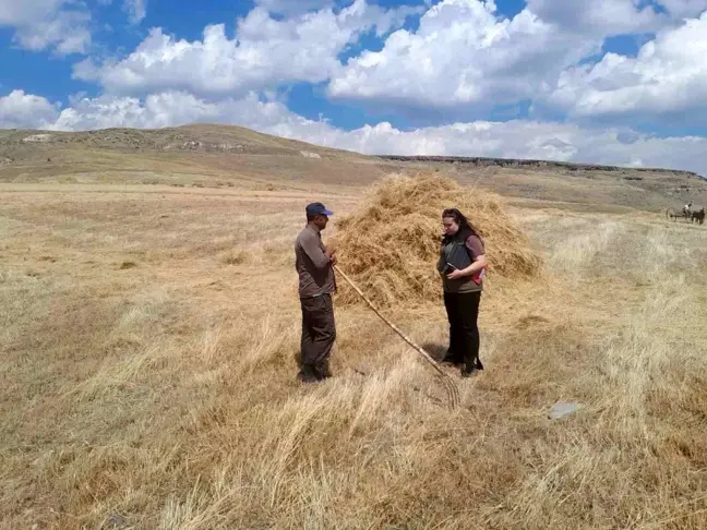 Sarıkamış'ta Hasat Sezonu Başladı