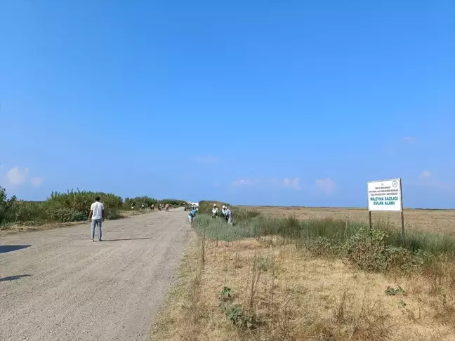 Hatay'daki Mileyha Sulak Alanı Atıklardan Arındırıldı