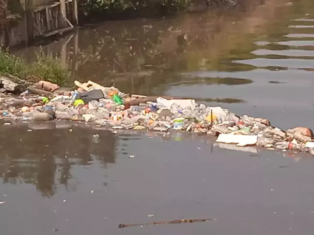 İstanbul'da Şiddetli Yağış Sonrası Derelerde Çöp Yığınları Oluştu