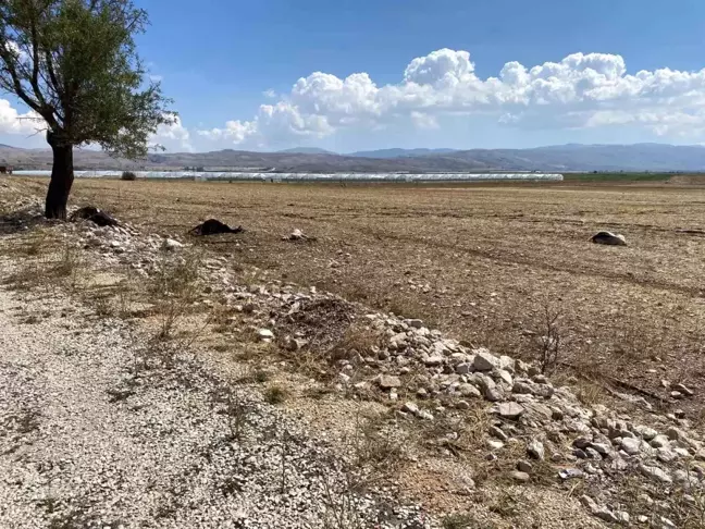 Antalya'da Şiddetli Yağış Sonucu Evler ve Tarım Arazileri Hasar Gördü