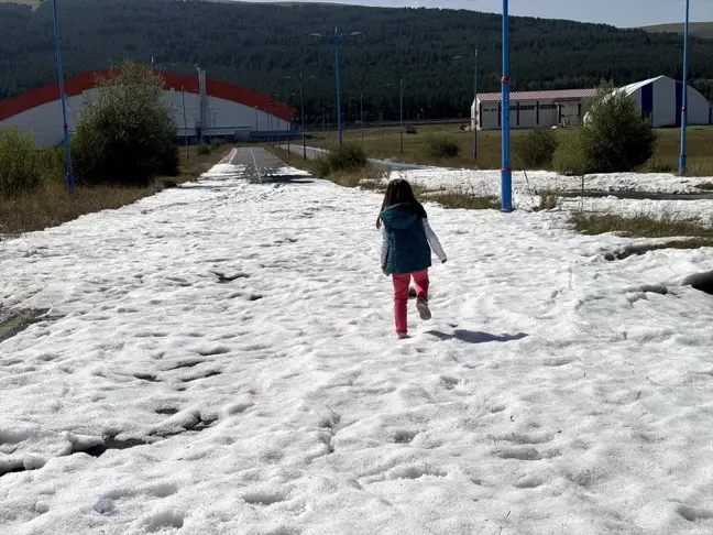 Ardahan'da gece etkili olan dolu, güneşli havaya rağmen erimedi