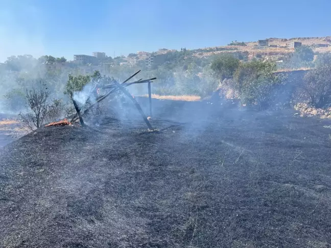 Mardin Yeşilli'de Ormanda Çıkan Yangında 50 Dönüm Alan Zarar Gördü