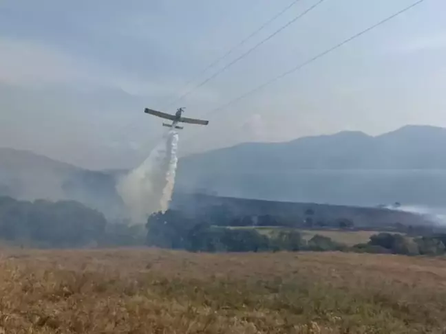 Erdek'te çıkan ot yangını kontrol altına alındı