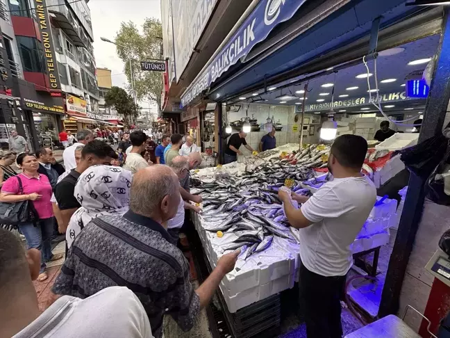 Samsun'da Hamsi ve Palamut Sezonu Başladı