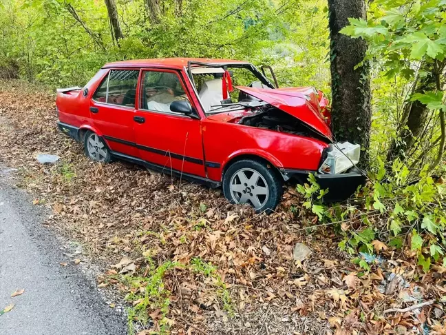 Karabük'te ağaca çarpan otomobilde 2 kişi yaralandı