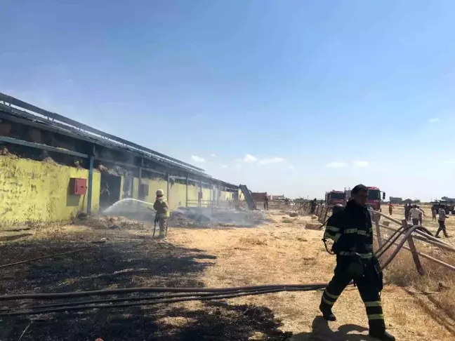 Mardin'de çiftlik yangınında itfaiye müdahalesi sürüyor