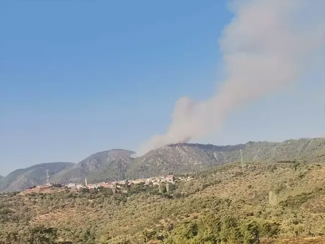 Muğla'nın Milas ilçesinde orman yangını çıktı