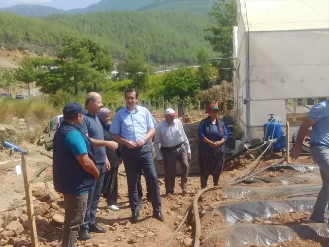 Bozyazı Kaymakamı Tuncay Topsakaloğlu, çilek serası kuran girişimciyi ziyaret etti