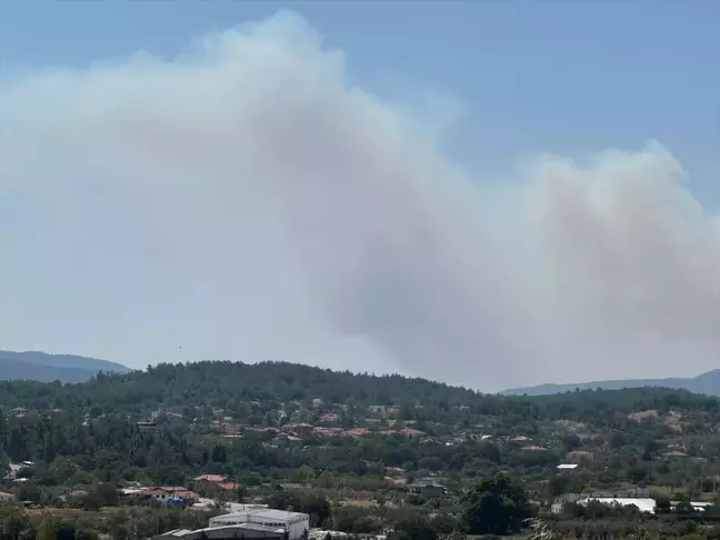 Muğla'da Ormanlık Alanda Çıkan Yangına Havadan ve Karadan Müdahale