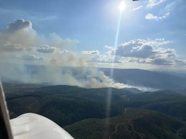 Bursa ve Balıkesir'deki Orman Yangınına Müdahale Devam Ediyor