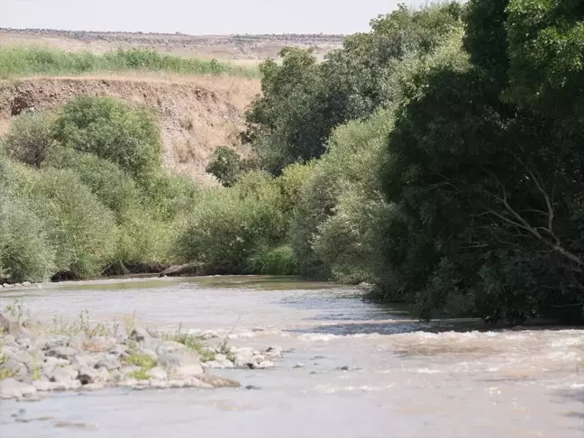 Diyarbakır'da kaybolan 8 yaşındaki çocuğun cesedi bulundu