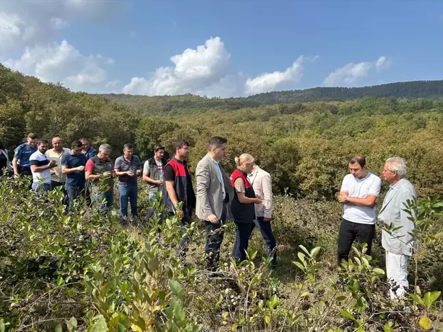 Kırklareli'nde Aronya Hasat Şenliği Düzenlendi