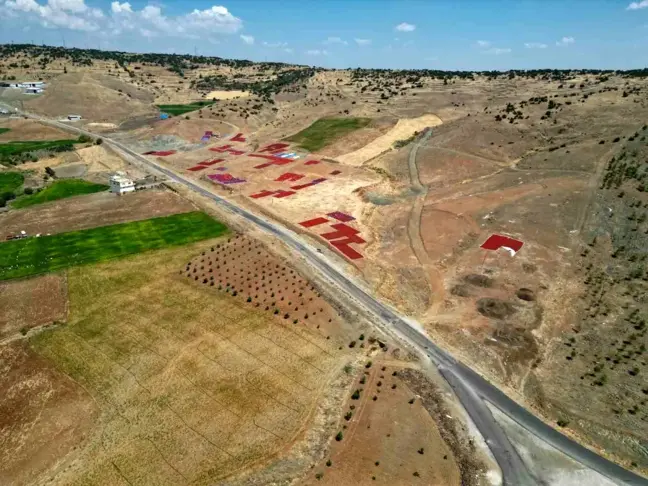 Kilis'te Acı Biber Hasadı ve Kurutma Mesaisi Başladı