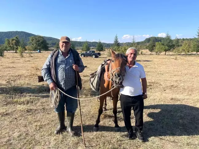 Denizli'de Yabani Ağaçlara Yapılan Aşılama İle Meyve Verimi Arttı