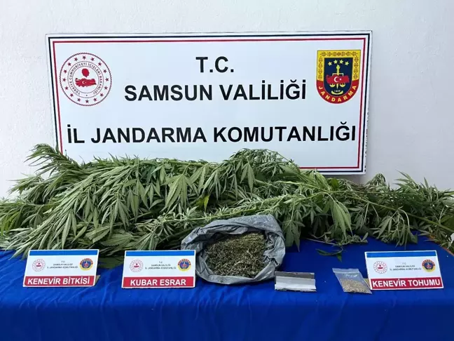 Samsun'da Uyuşturucu Operasyonu: 200 Gram Esrar Ele Geçirildi