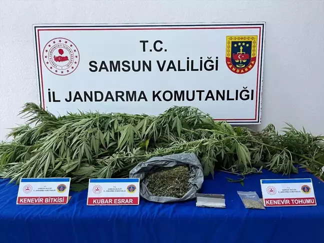 Samsun'da uyuşturucu operasyonu: 1 şüpheli gözaltına alındı