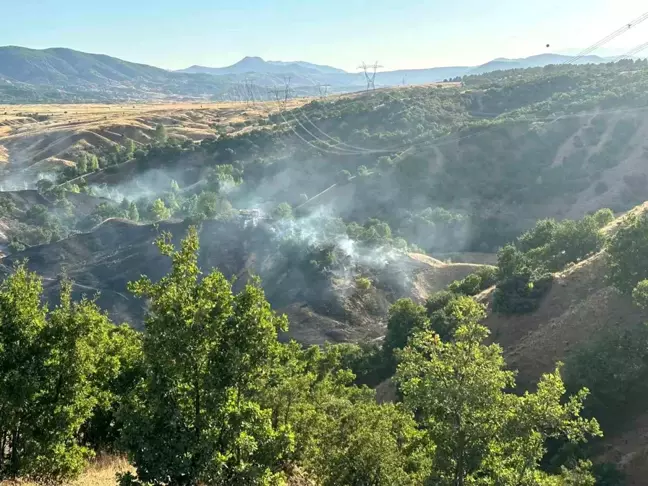 Bingöl'ün Genç İlçesinde Orman Yangını Kontrol Altına Alındı