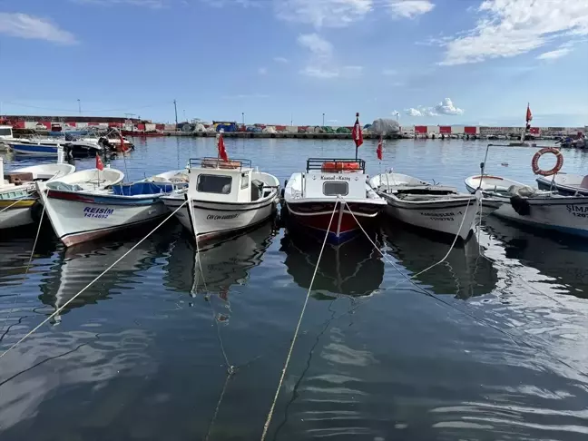 Tekirdağlı Balıkçılar, Marmara'da Umduğunu Bulamadı