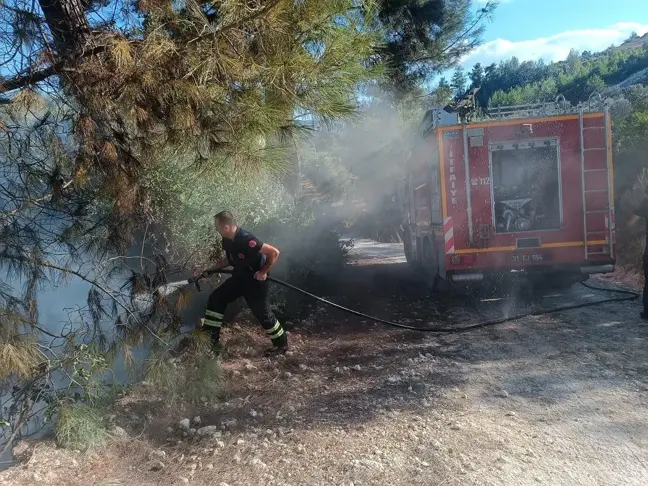 Hatay'da Orman Yangını Söndürüldü