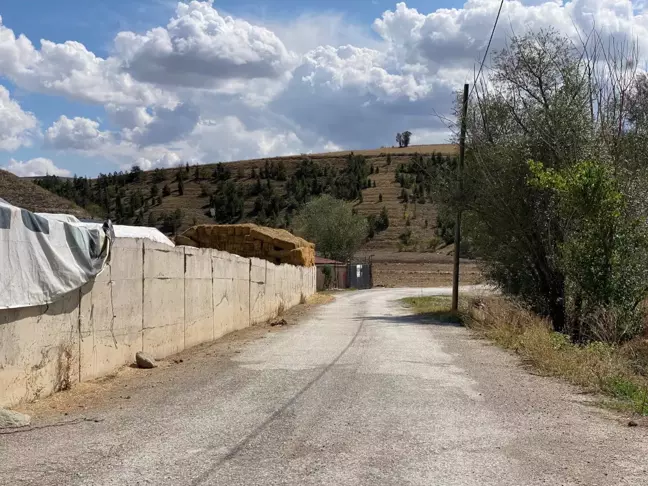 Ankara'da Kazayla Ateşlenen Tüfekle Afgan Çoban Hayatını Kaybetti