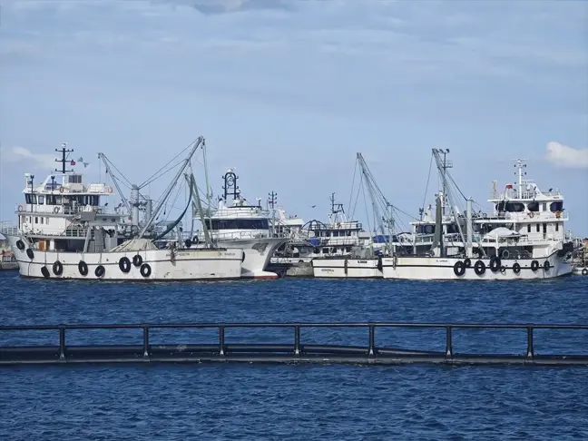 Samsun'da Olumsuz Hava Şartları Balıkçılığı Olumsuz Etkiliyor