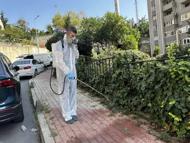 Kağıthane Belediyesi'nden Haşere ve Sinek İlaçlama Çalışmaları