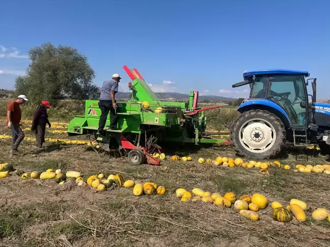 Beyşehir'de Kabak Çekirdeği Üretiminde İvme Kazanıldı