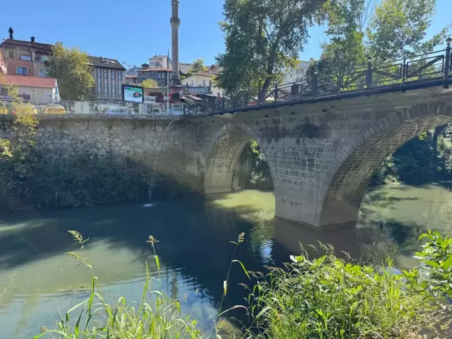 Bartın Irmağı'nda Balık Ölümleri Tedirginlik Yarattı