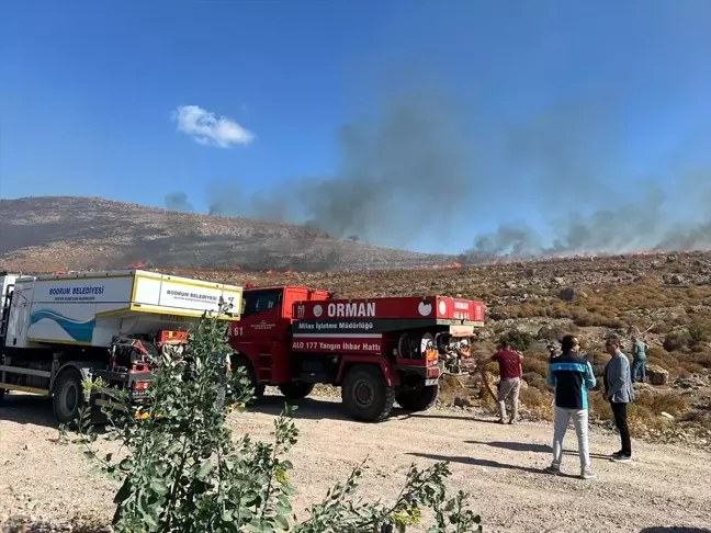 Bodrum'da Otluk Alanda Yangın: Hızla Söndürüldü