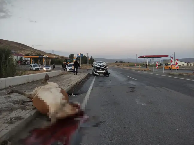 Bingöl'de Trafik Kazası: İneğe Çarpan Araçta Bir Yaralı