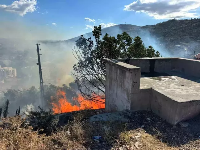 Aydın'da Otluk Alanda Yangın, Ahıra Sıçradı