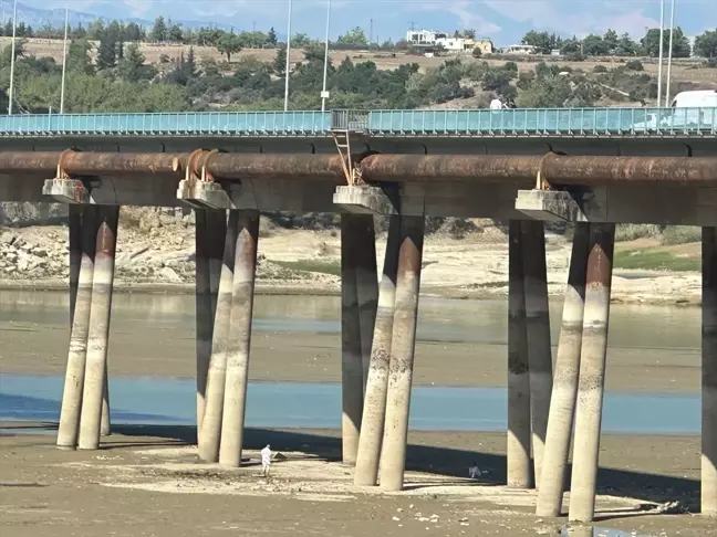 Seyhan Baraj Gölü'nde El Bombası İmha Edildi