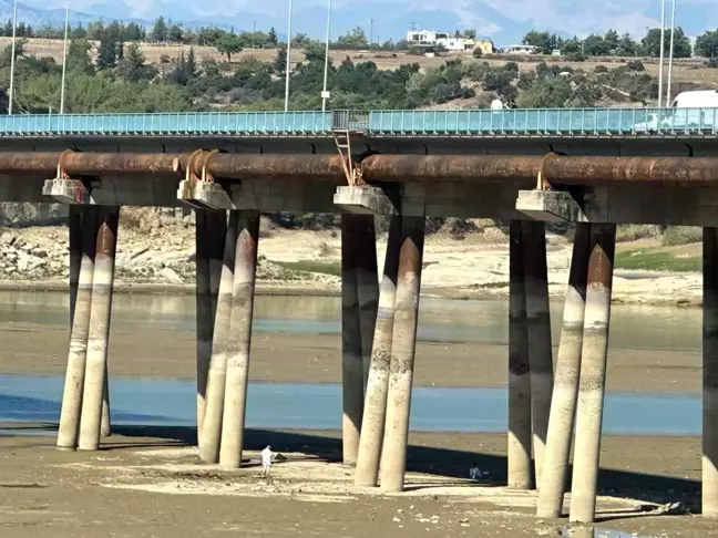 Adana'da Seyhan Baraj Gölü'nde El Bombası Bulundu