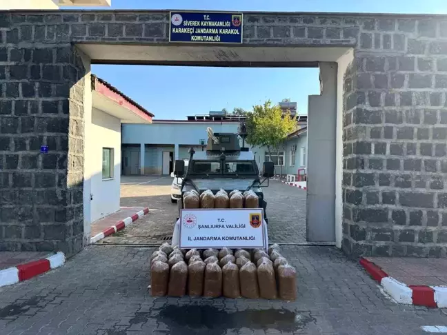 Şanlıurfa'da 240 Kilo Kaçak Tütün Ele Geçirildi