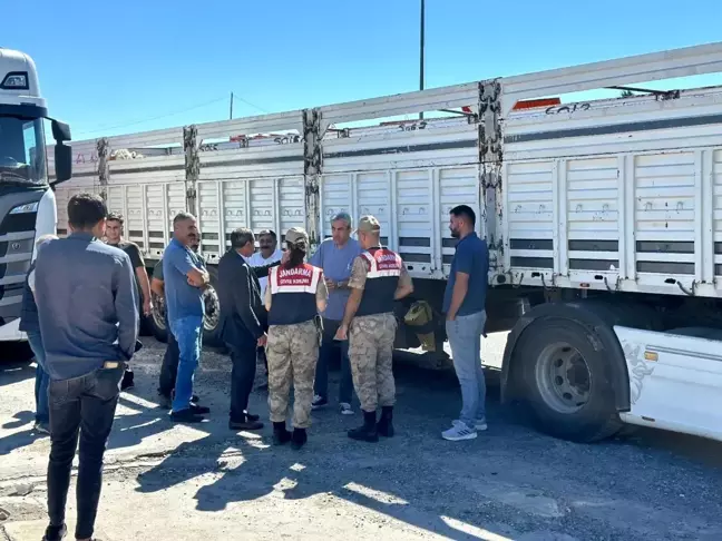 Diyarbakır'da Kaçak Hayvan Nakli Engellendi