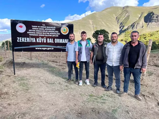 Artvin'in Zekeriya Köyünde Değerli Bal Üretimi Artıyor