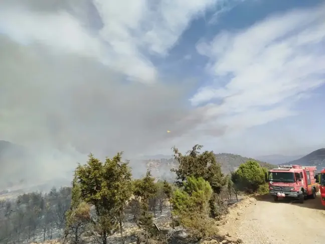 Foça'daki Orman Yangını Kısmen Kontrol Altına Alındı