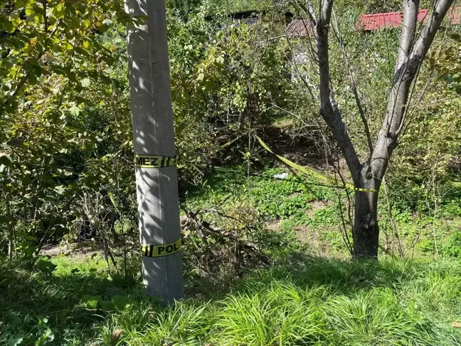 Zonguldak'ta Domuz Sanılarak Vurulan Kadın Hayatını Kaybetti