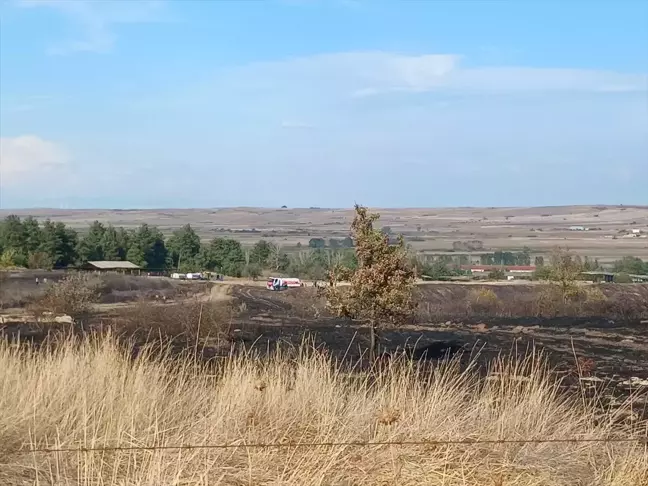 Tekirdağ'da Ağaçlık Alanda Yangın Çıktı