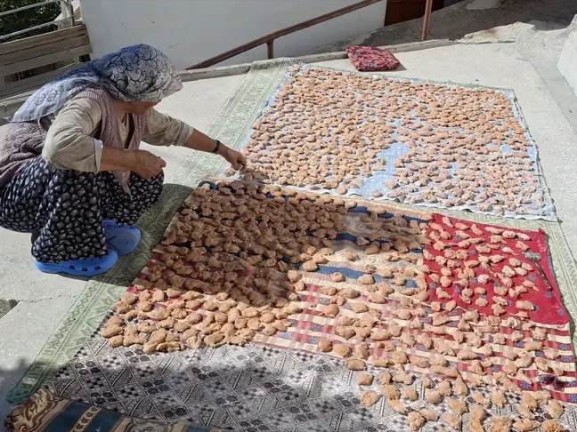 Beypazarı Kadınları Kışa Hazırlanıyor: Tarhana ve Salça Yapımı