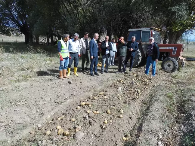 Kaymakam Minuz, Patates Hasadı Yapan Çiftçileri Ziyaret Etti