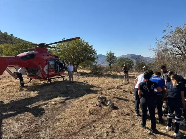 Ağaçtan Düşen Kişi Hava Ambulansıyla Hastaneye Sevk Edildi