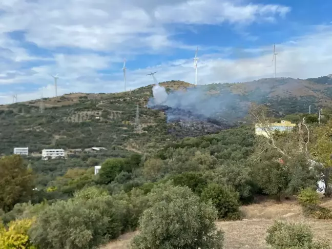 Balıkesir'in Erdek ilçesinde orman yangını 2 saatte kontrol altına alındı