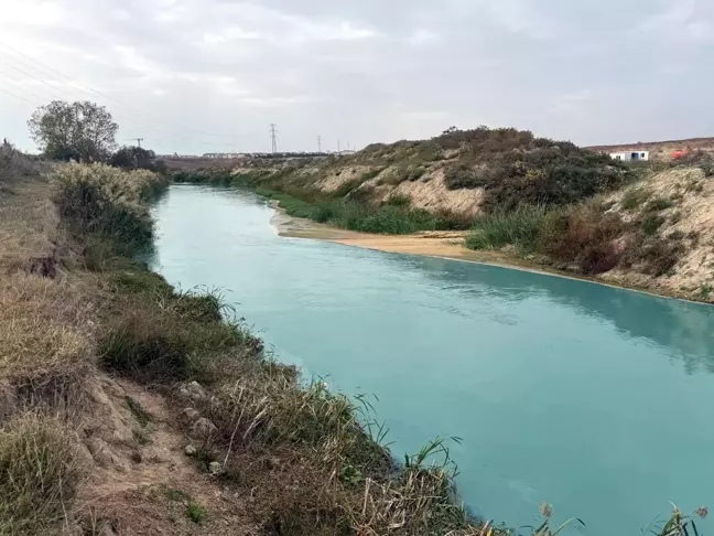 Ergene'deki Çorlu Deresi Kirlilikle Gündemde